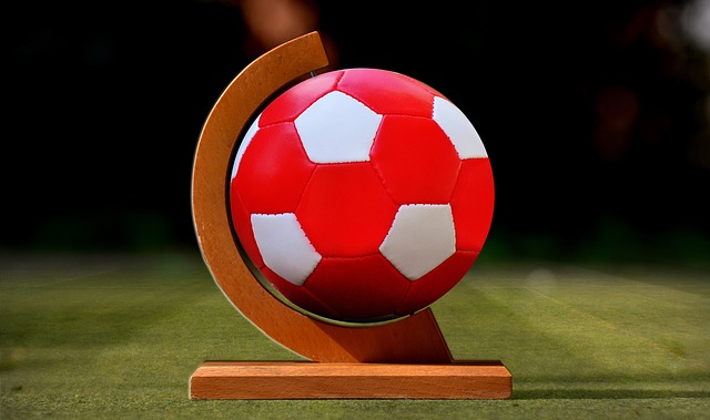 津先行者目 津先行者目