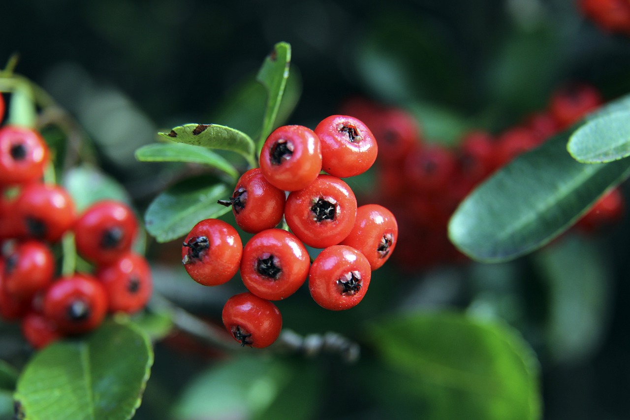 合无疑是整 合无疑是整