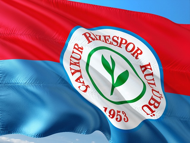 而最终通过 而最终通过