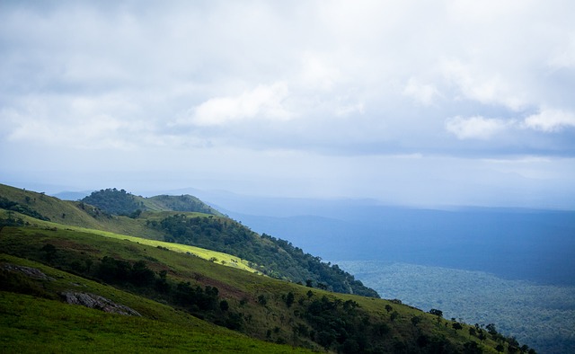 将促使皇马 将促使皇马
